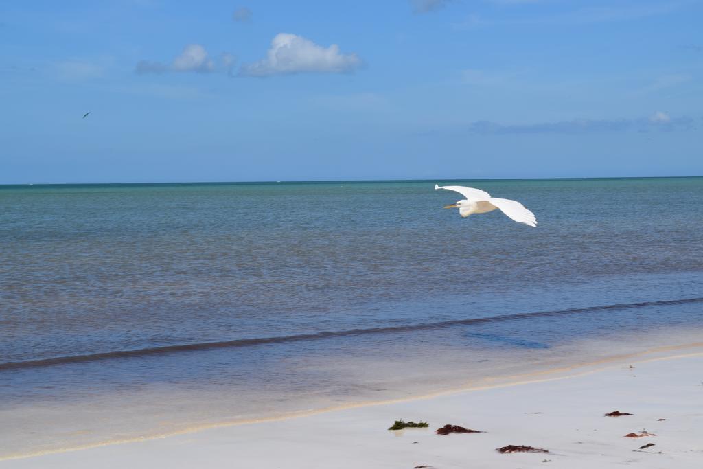 Villas Delfines Isla Holbox Buitenkant foto
