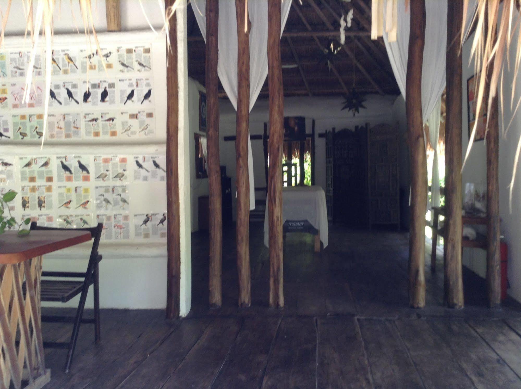 Villas Delfines Isla Holbox Buitenkant foto